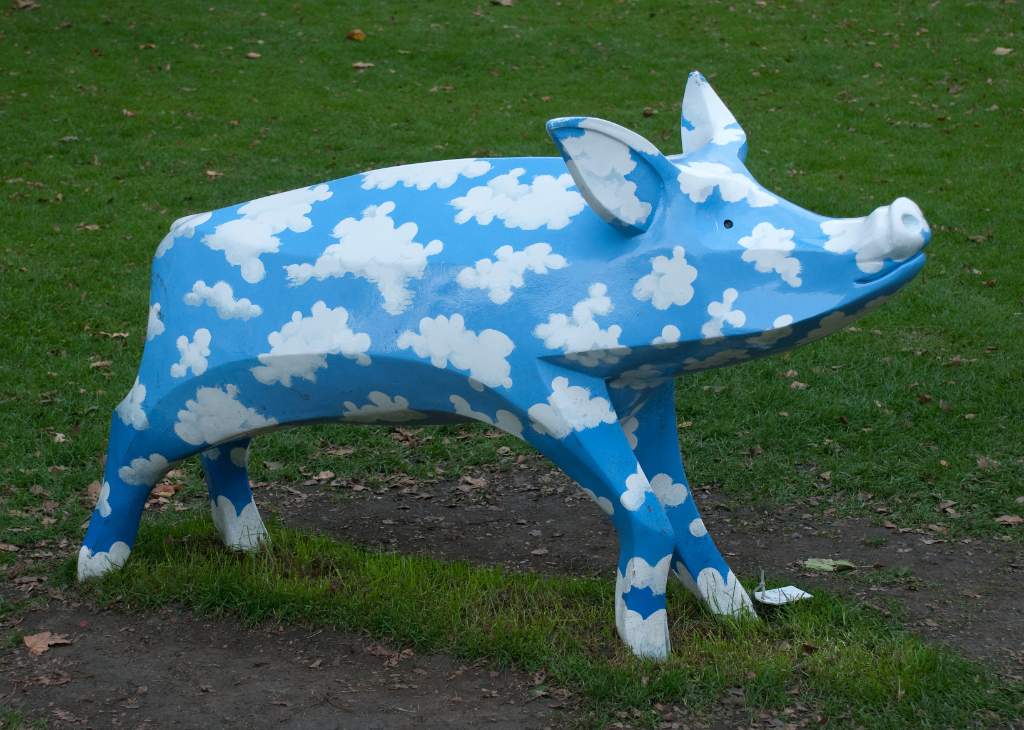 Sky Blue Pig